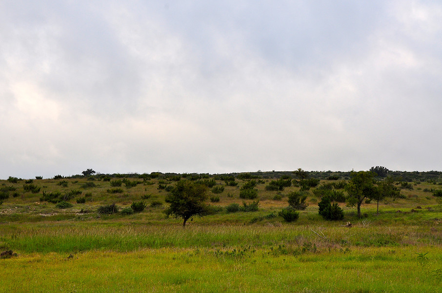 Williamson Family Ranch Photo