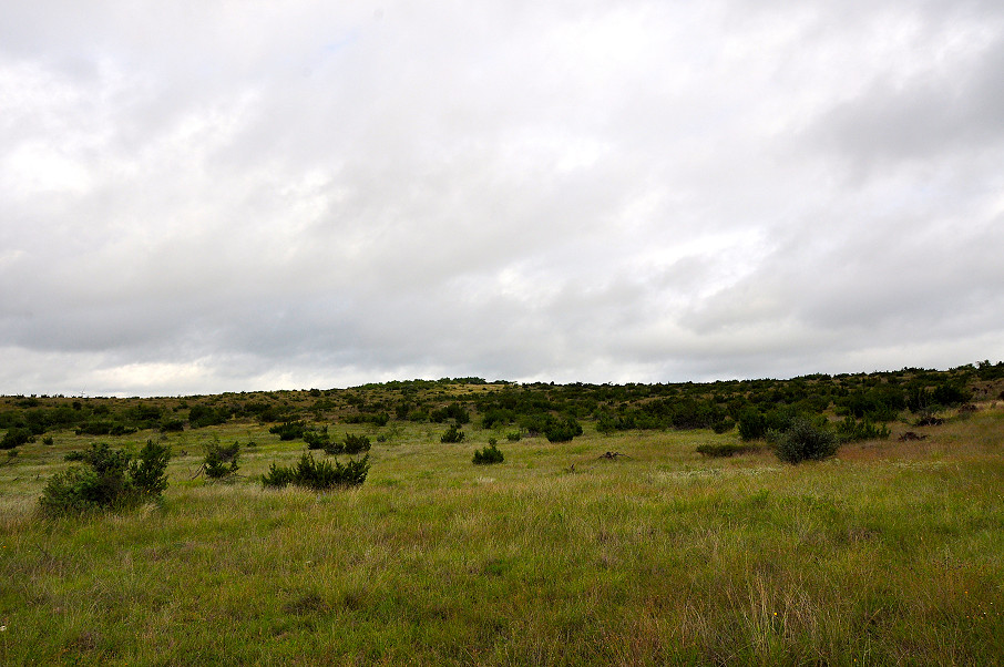 Williamson Family Ranch Photo