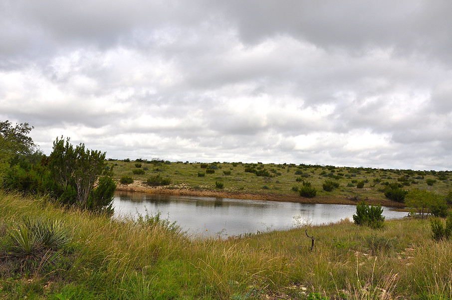 Williamson Family Ranch Photo