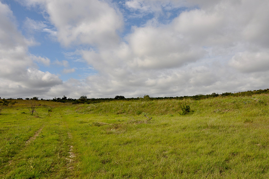 Williamson Family Ranch Photo