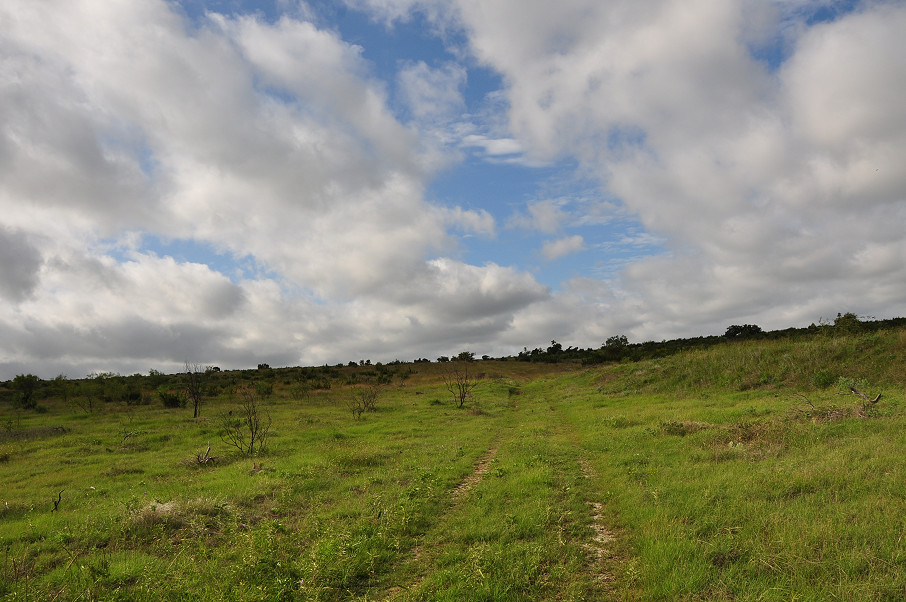 Williamson Family Ranch Photo