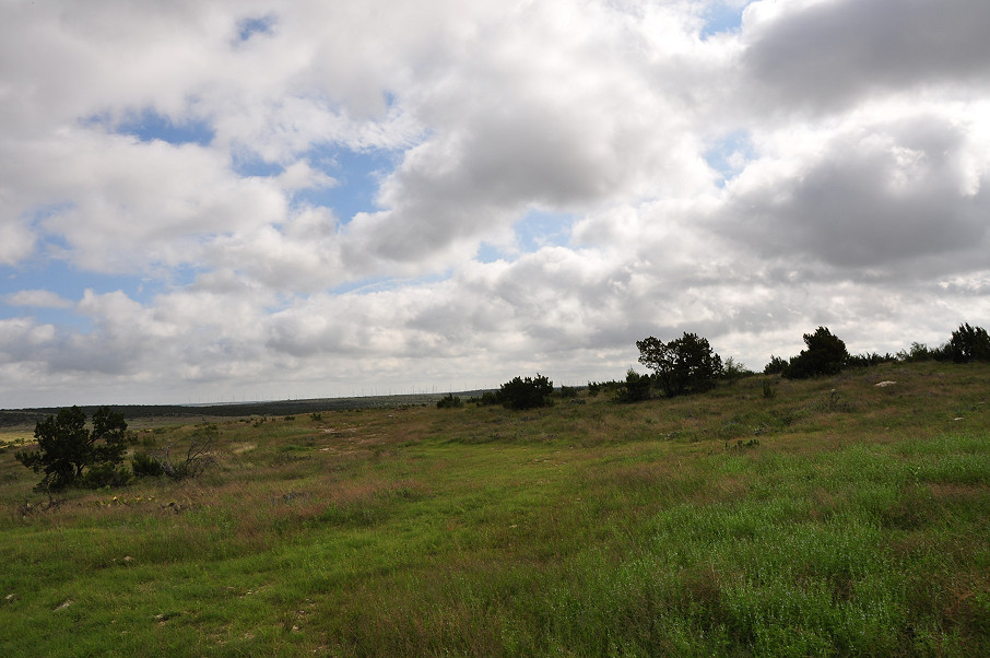 Williamson Family Ranch Photo