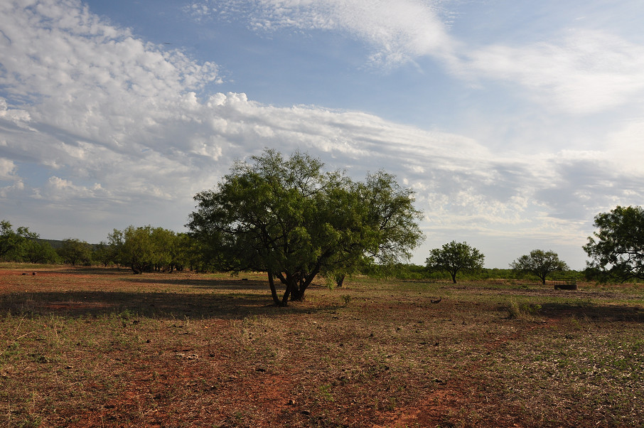 Juniper Home Ranch Photo