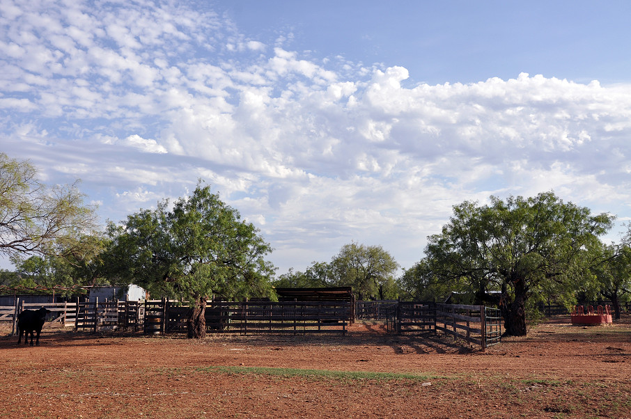 Juniper Home Ranch Photo