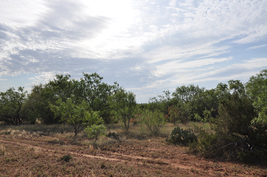 Juniper Home Ranch Photo