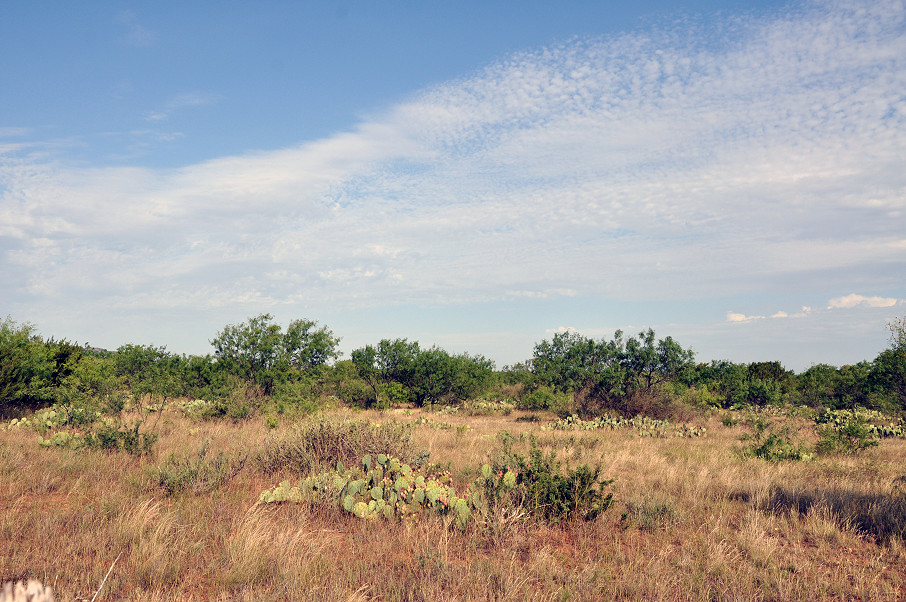 Juniper Home Ranch Photo