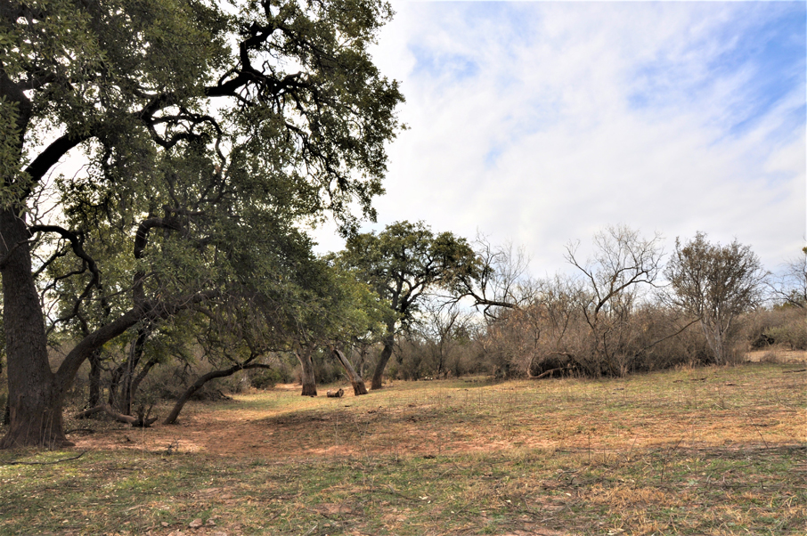 Big Tank Ranch Photo