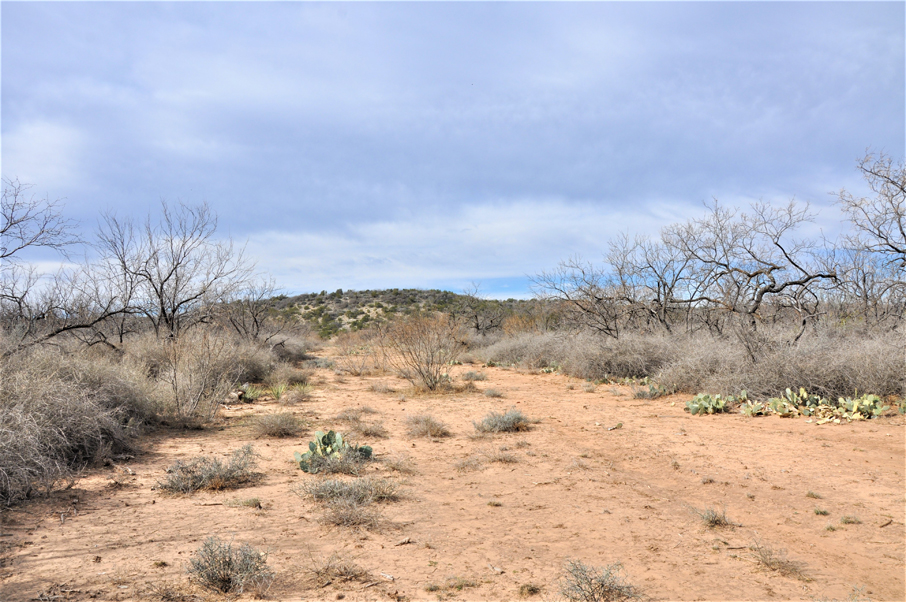 Big Tank Ranch Photo