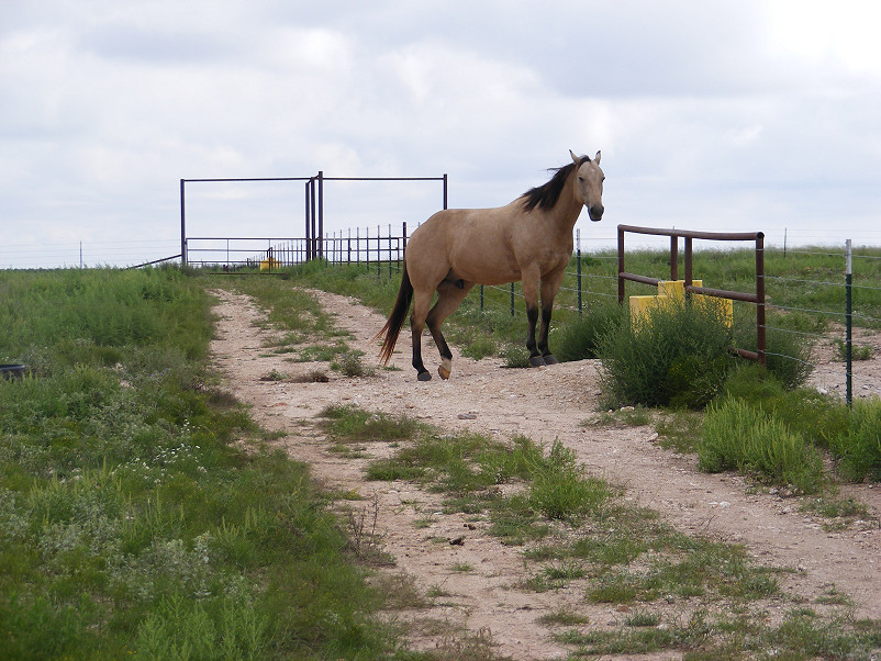 Guerin Ranch w/house Photo