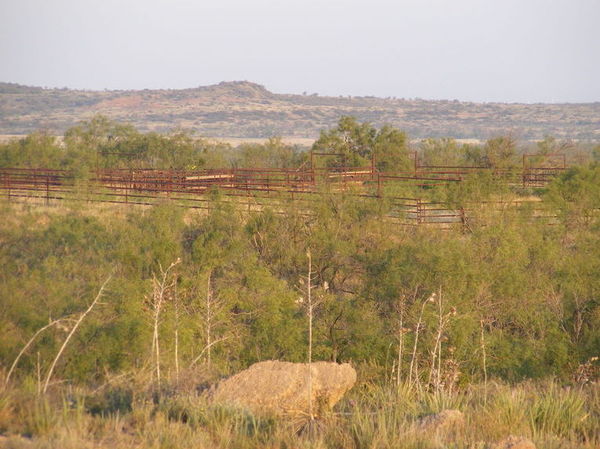 Dulaney Creek Ranch Photo