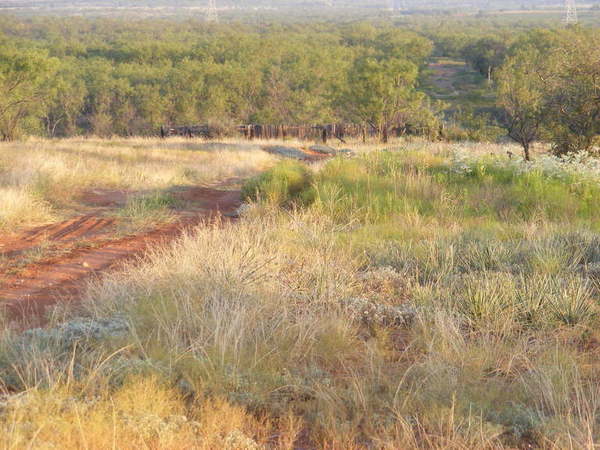 Dulaney Creek Ranch Photo