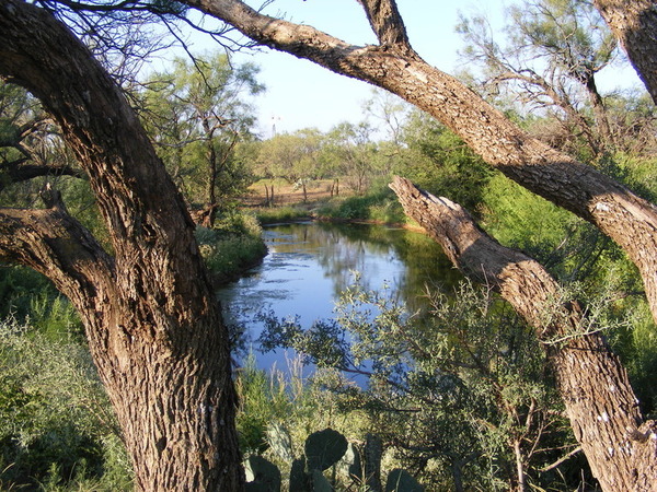 Dulaney Creek Ranch Photo