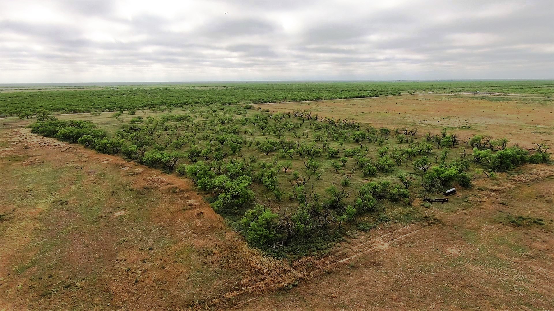 Eldorado Farm & Ranch Lee, Lee & Puckitt Associates, Inc.