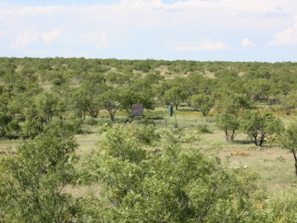 Eldorado Lodge Ranch Photo