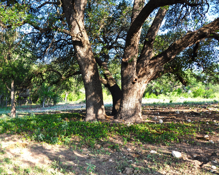 FFT Sutton County Ranch Photo