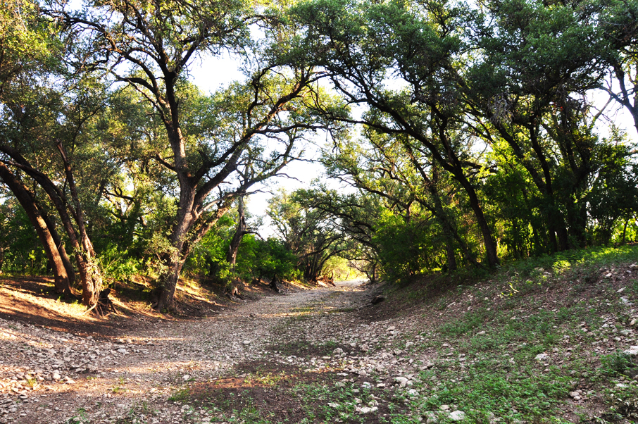 FFT Sutton County Ranch Photo