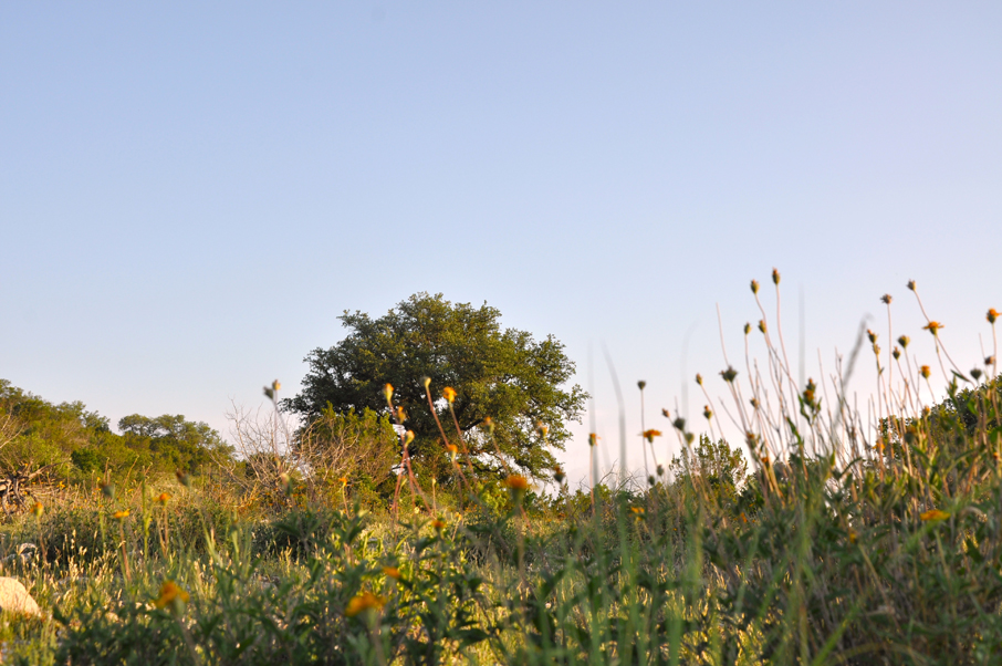 FFT Sutton County Ranch Photo