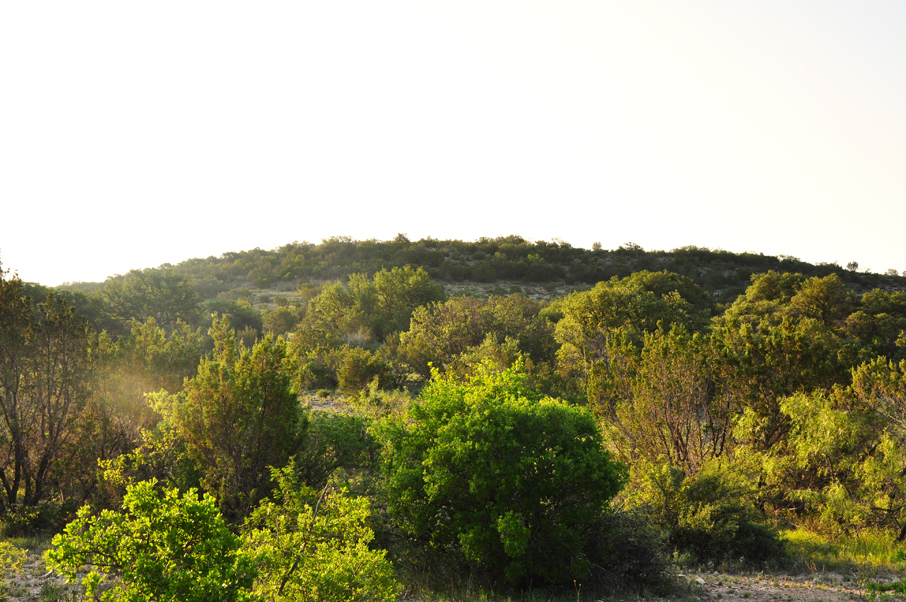 FFT Sutton County Ranch Photo