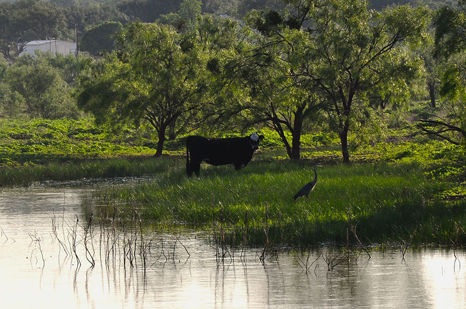 FFT Sutton County Ranch Photo