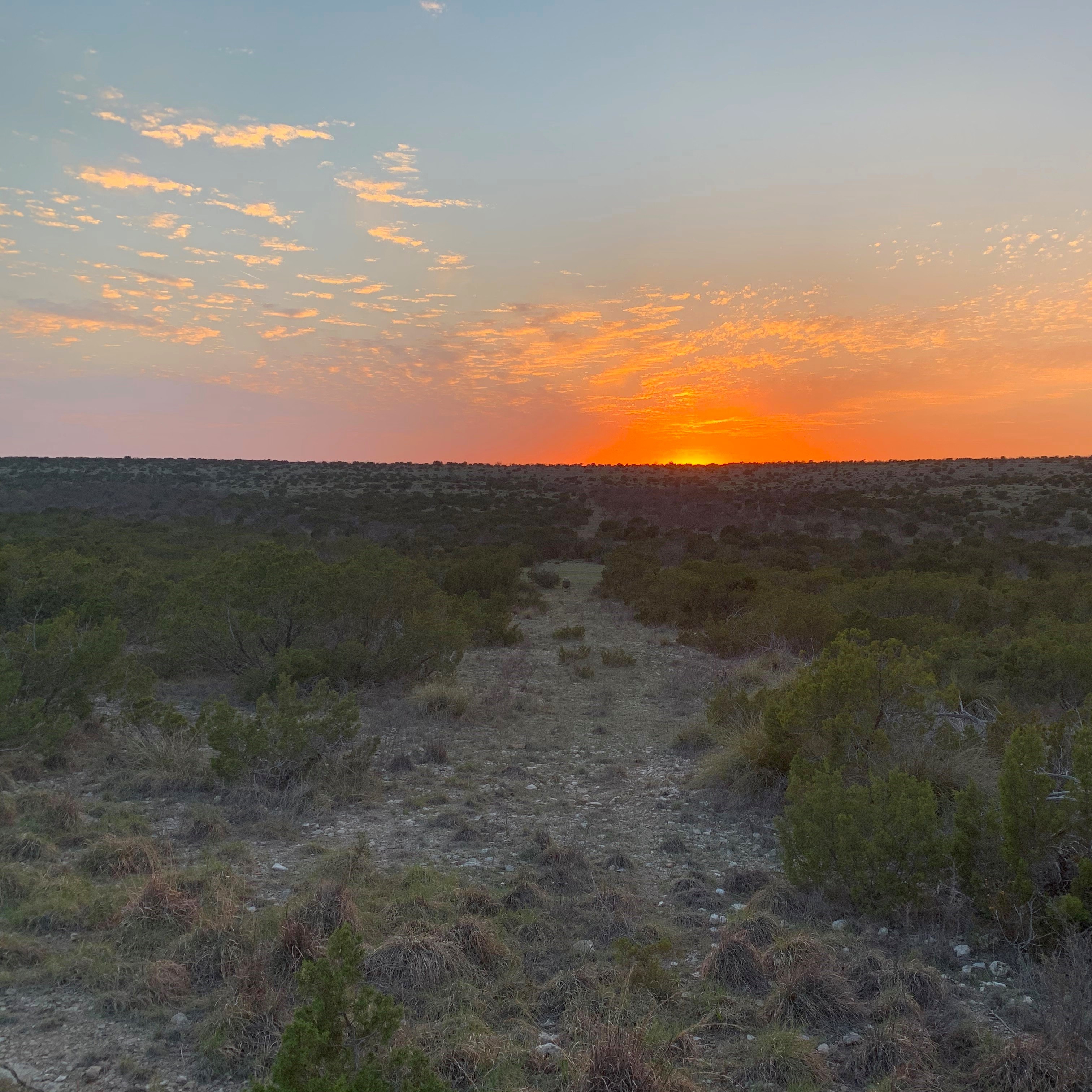 Flat Rock Ranch Lee, Lee & Puckitt Associates, Inc.