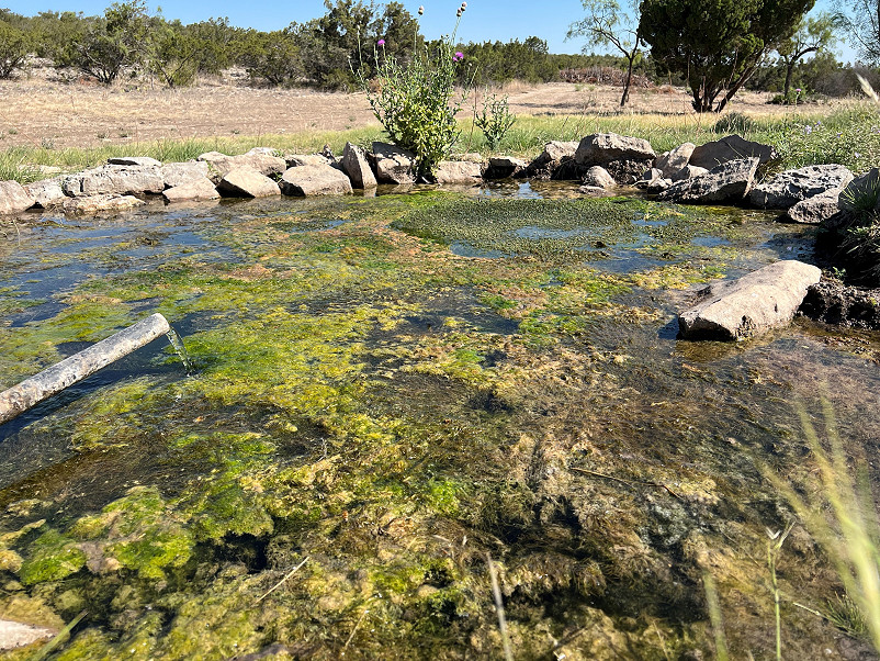 Flat Rock Ranch Photo