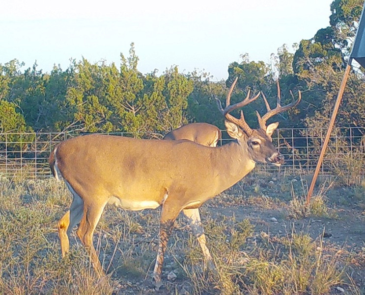 Flat Rock Ranch Photo