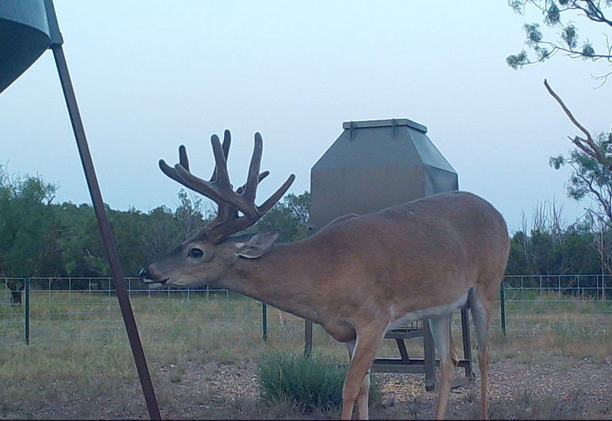 Flat Rock Ranch Photo