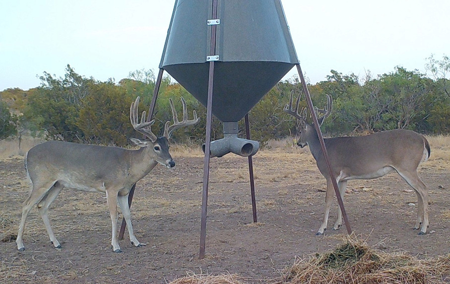 Flat Rock Ranch Photo