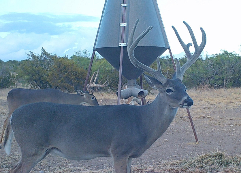 Flat Rock Ranch Photo