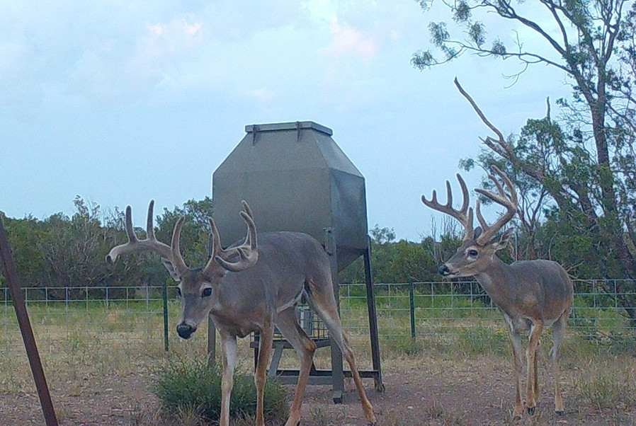 Flat Rock Ranch Photo