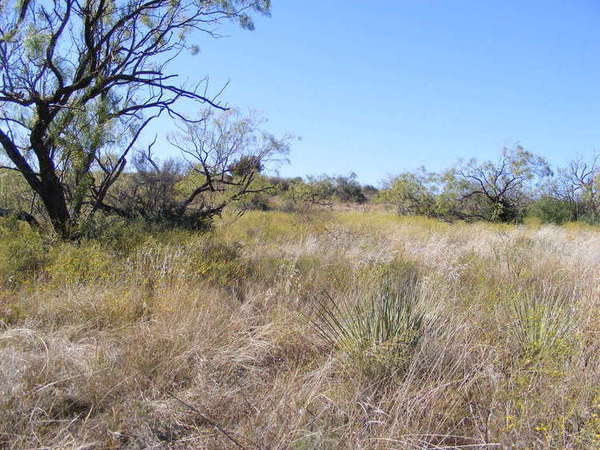 Forrester Ranch Photo