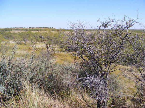 Forrester Ranch Photo