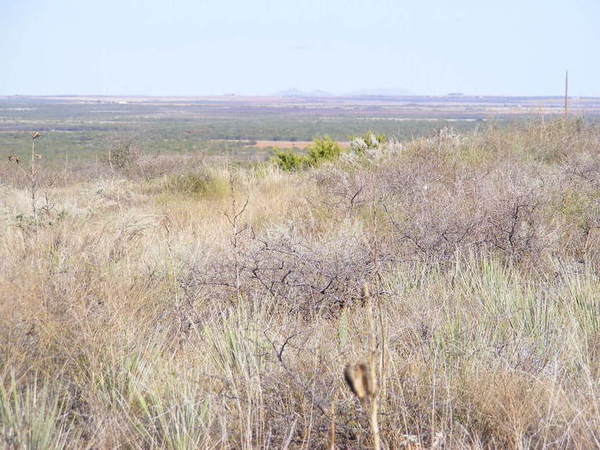 Forrester Ranch Photo