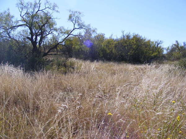 Forrester Ranch Photo