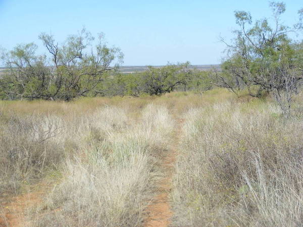 Forrester Ranch Photo