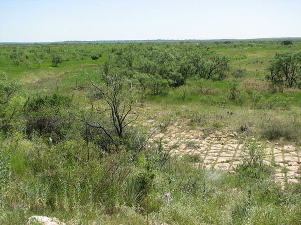 Frog Pond Ranch Photo