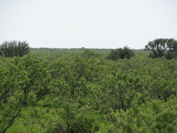 Frog Pond Ranch Photo