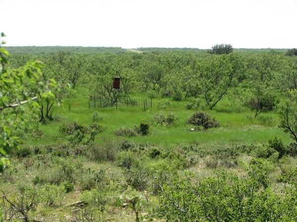 Frog Pond Ranch Photo