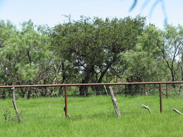 Frog Pond Ranch Photo