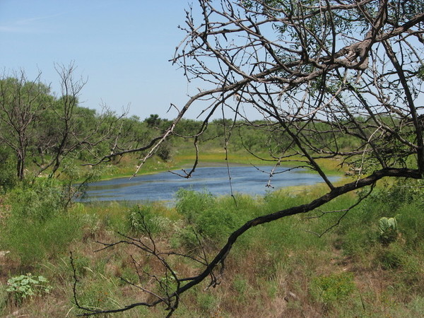 Frog Pond Ranch Photo