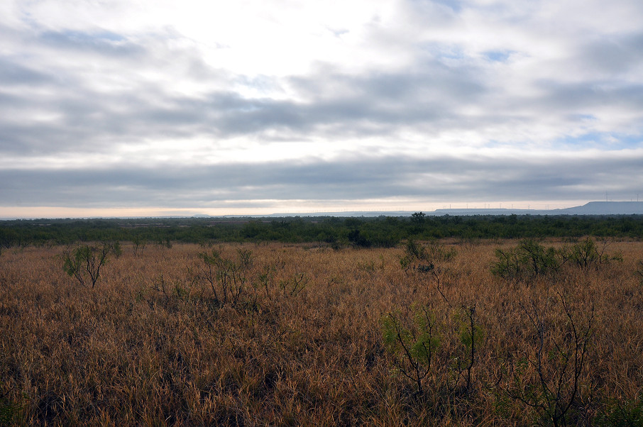 Garza County Ranch Photo