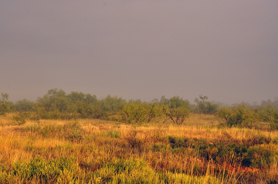 Garza County Ranch Photo