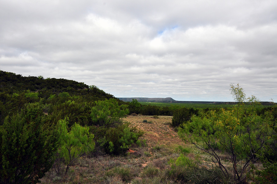 Goat Mountain Ranch Photo