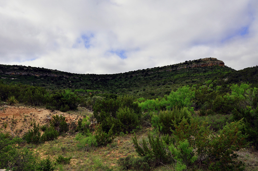 Goat Mountain Ranch Photo