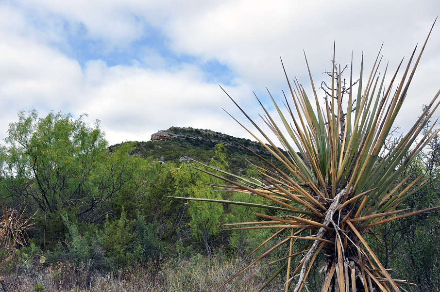 Goat Mountain Ranch Photo