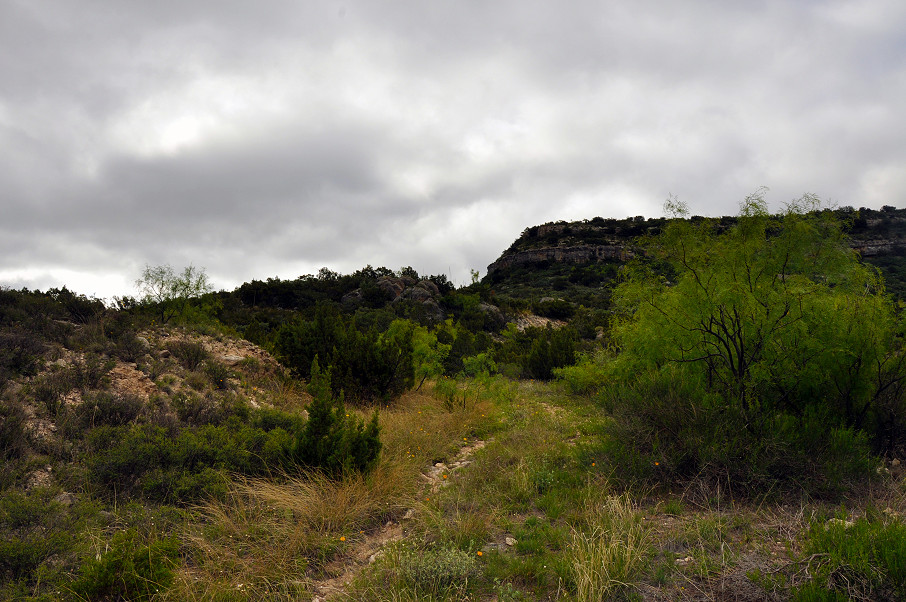 Goat Mountain Ranch Photo