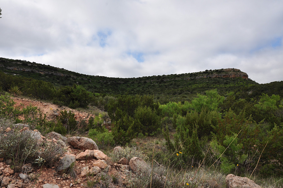 Goat Mountain Ranch Photo