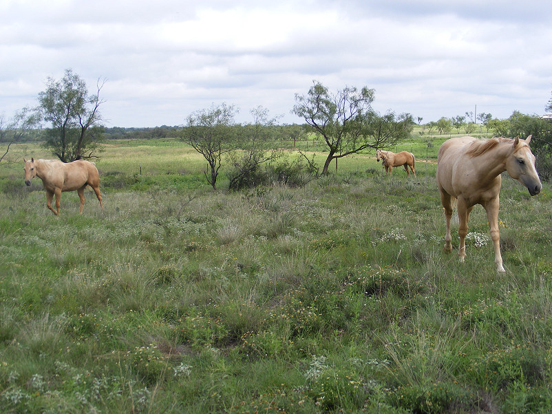 Guerin Ranch w/house Photo