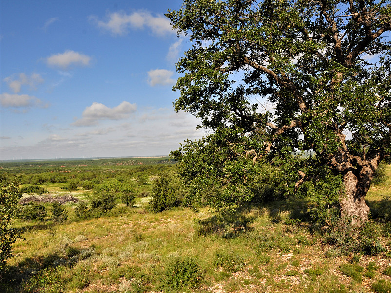 H2 Ranch Photo