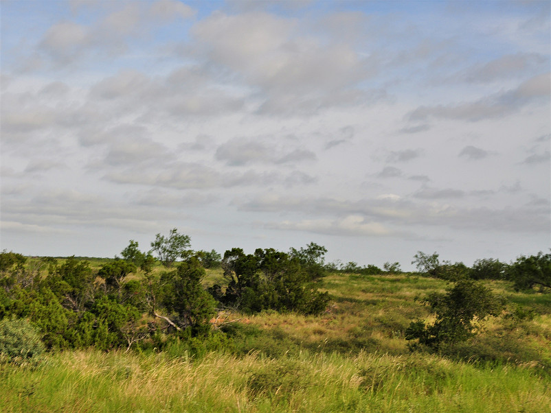 H2 Ranch Photo